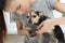 Veterinarian cuts the claws of a small dog toy terrier in the clinic. Prevention of diseases on the legs of an animal