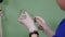 A veterinarian dials medicine into a syringe in a veterinary clinic.