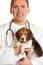 Veterinarian doctor and a beagle puppy