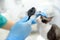 Veterinarian doctor checks eyesight of a cat of the breed Cornish Rex in a veterinary clinic. Health of pet. Care animal. Pet