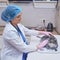 Veterinarian doctor combing pet hair on home kitchen table