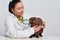 Veterinarian doctor with stethoscope checking up cat. medicine, pet, animals and people concept