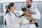 Veterinarian doctors in pet clinic ICU holding cat patient in th
