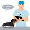 Veterinarian and dog on examination table in vet clinic. Veterinary clinic vector concept