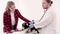 Veterinarian examine dog with stethoscope in vet clinic