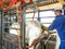 Veterinarian examines and initiates artificial insemination work on a Nelore cow on a farm, in the municipality of Londrina