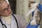 A veterinarian examines a young kitten. First appointment with a doctor for animals. Taking care of pets.