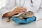 Veterinarian examining bearded lizard on table in clinic. Exotic pet