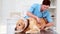 Veterinarian examining a cute labrador