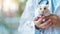 Veterinarian holding a baby hamster during a medical checkup, providing expert care. Veterinarian doctor holding cute