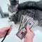 The veterinarian holds dollars near the cat lying on the table in the clinic