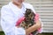 A veterinarian holds kittens in his arms