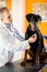 Veterinarian listen respiration of Great Done dog in vet clinic