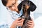 Veterinarian listens dachshund by stethoscope