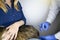 The veterinarian makes an injection intramuscularly to the Norwegian forest cat, who is sitting in the arms of the mistress. The