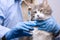 A veterinarian makes an injection of a vaccine to a pet cat