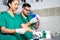 Veterinarian preparing injection for dogs.