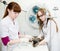 Veterinarian provides medical care to the sick cat