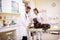 Veterinarian putting bandage on dog sick leg at pet office