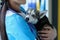 Veterinarian at reception is holding frightened little husky in arms