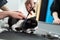 Veterinarian is shearing a cat with scissors in a pet beauty salon. A female Barber shaves a black and white cat