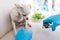 Veterinarian specialist holding tiny white dog, process of cutting dog claw nails of a small breed dog with a nail clipper tool,