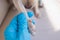 Veterinarian specialist holding tiny white dog, process of cutting dog claw nails of a small breed dog with a nail clipper tool,