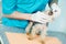 Veterinarian surgeon examining dog teeth