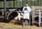 Veterinarian with tablet pc and cows on dairy farm