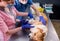 Veterinarian team bandages the paw of a sick Corgi dog