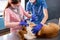 Veterinarian team bandages the paw of a sick Corgi dog