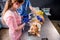 Veterinarian team bandages the paw of a sick Corgi dog