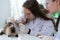 Veterinarian treating sick rabbits He is giving the young bunnies the attention they need to be well