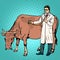 Veterinarian treats a cow farm animal medicine