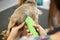 Veterinarian trimming a yorkshire terrier with a hair clipper in a veterinary clinic. Female groomer haircut Yorkshire