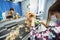 Veterinarian trimming a yorkshire terrier with a hair clipper in a veterinary clinic. Female groomer haircut Yorkshire