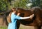 Veterinarian in uniform brushing beautiful brown horse