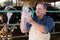 Veterinarian wears long glove to inspect cows