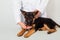 Veterinarian in a white coat feeds a puppy of a German shepherd, gives medicine