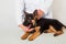 Veterinarian in a white coat feeds a puppy of a German shepherd, gives medicine