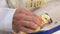 Veterinarian who vaccinates young chickens on a farm. The doctor`s hand holds a mole that is automatically vaccinated