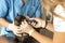 Veterinarians examine a black cat in a veterinary clinic