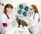 Veterinarians examines a cat in the office