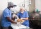 Veterinarians examines a dog in a veterinary clinic