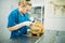 Veterinarians looks at the cats ears in clinic