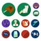 Veterinary clinic flat icons in set collection for design. Treatment of a pet vector symbol stock web illustration.