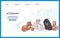 Veterinary clinic website of pets care service and zooshop, flat vector