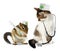 Veterinary concept, funny chipmunk and cat with phonendoscope a