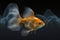 veterinary concept, pulse, goldfish heartbeat, black background. generative ai .