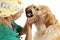 Veterinary consultation